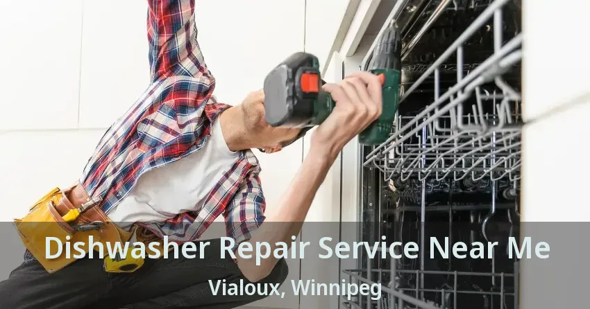 Dishwasher Repair Service Near Me Vialoux, Winnipeg - MB