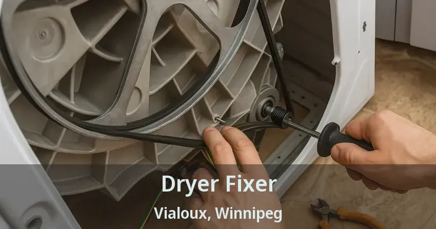 Dryer Fixer Vialoux, Winnipeg - MB