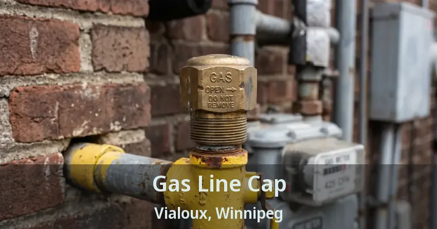 Gas Line Cap Vialoux, Winnipeg - MB