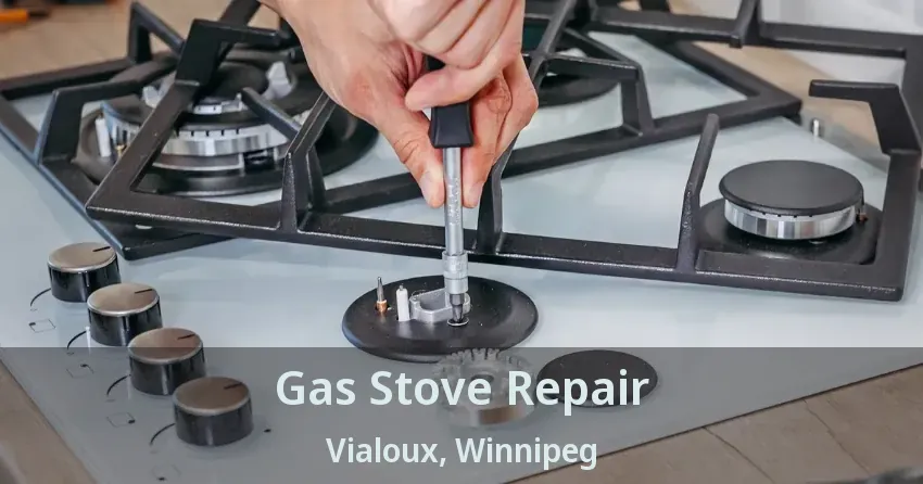 Gas Stove Repair Vialoux, Winnipeg - MB