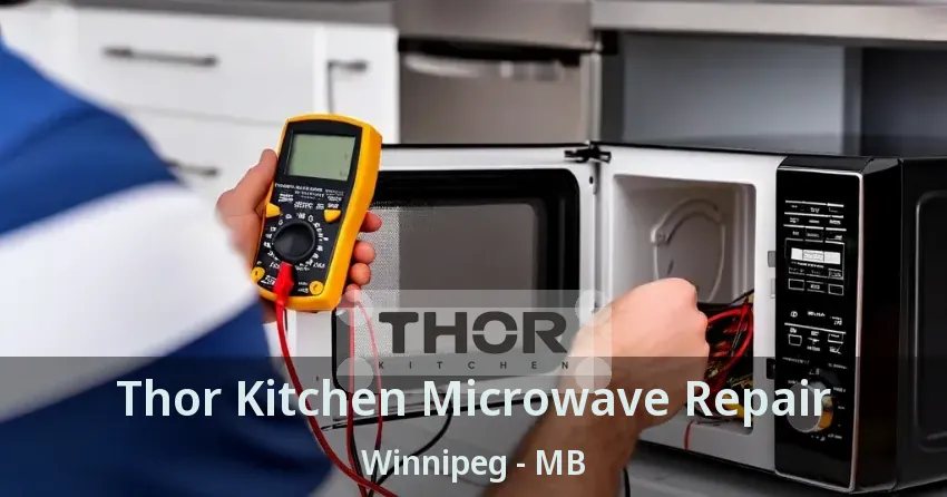 Thor Kitchen Microwave Repair Winnipeg - MB