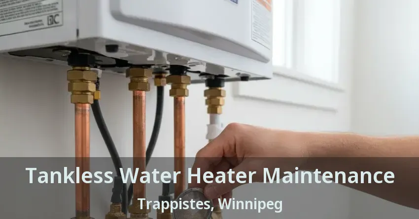 Tankless Water Heater Maintenance Trappistes, Winnipeg - MB