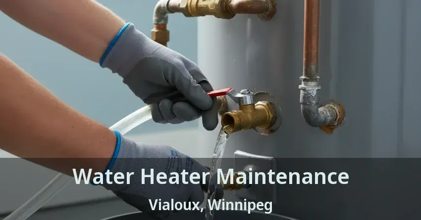 Water Heater Maintenance Vialoux, Winnipeg - MB